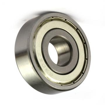 Deep Groove Ball Bearing 6300zz (SKF NACHI, Timken, NSK, NTN, KOYO, IKO 6000 6001 6002 6003 6004 6005 6006 6007 6200 6201 6202 6203 6204 6205 6301 6302 ZZ 2RS)