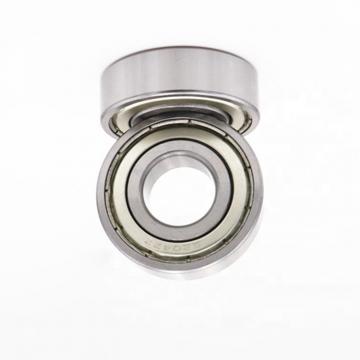 Double Row Black Chamfering Radial Angular Contact Ball Bearing 5202 5202-2RS