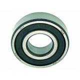 762597202 Angular Contact Ball Bearing F-236120.13.SKL-H79