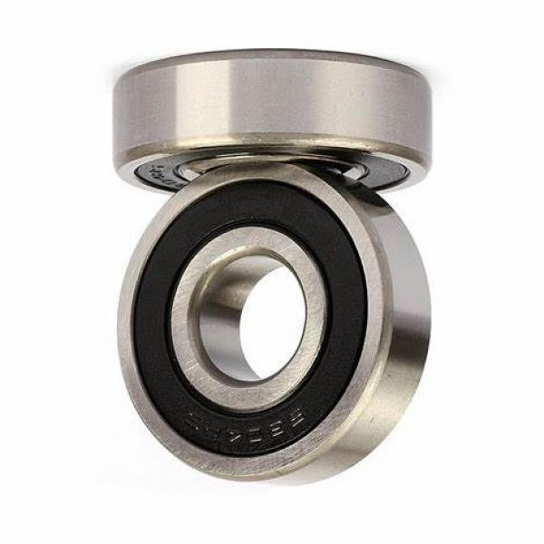 6200z 6603 2RS 6305 6022 628z Dual Self-Aligning Ball Bearing Zz809 #1 image